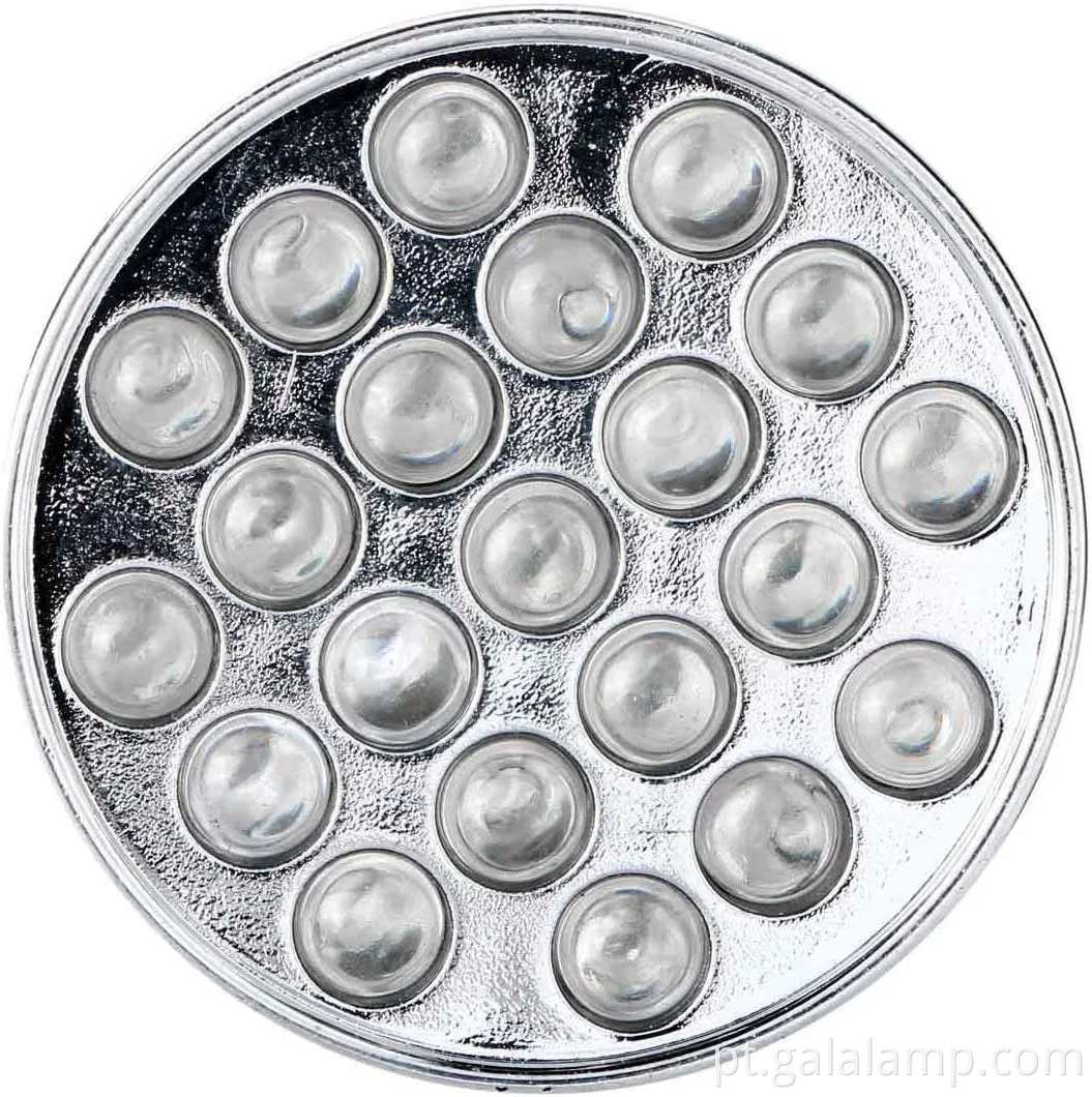 Tocha portátil portátil para eliminar manchas de urina para cães